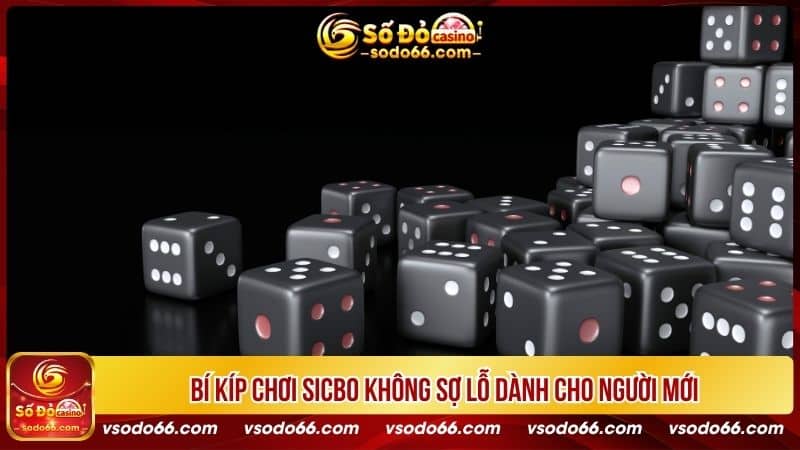 Bí kíp chơi sicbo không sợ lỗ dành cho người mới