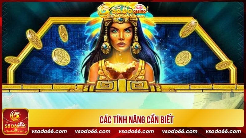 Các tính năng cần biết