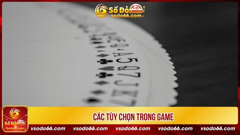 Các tùy chọn trong game