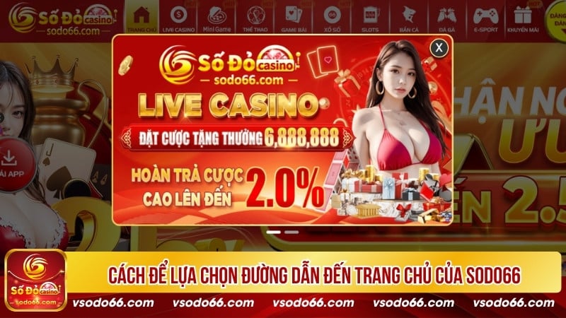 Cách để lựa chọn đường dẫn đến trang chủ của SODO66