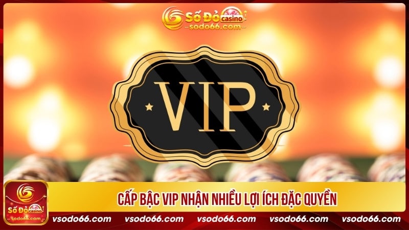 Cấp bậc VIP nhận nhiều lợi ích đặc quyền