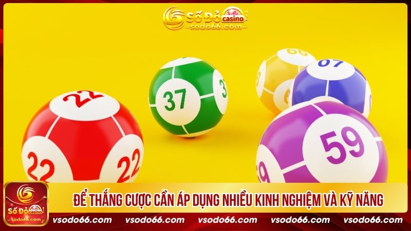 Để thắng cược cần áp dụng nhiều kinh nghiệm và kỹ năng