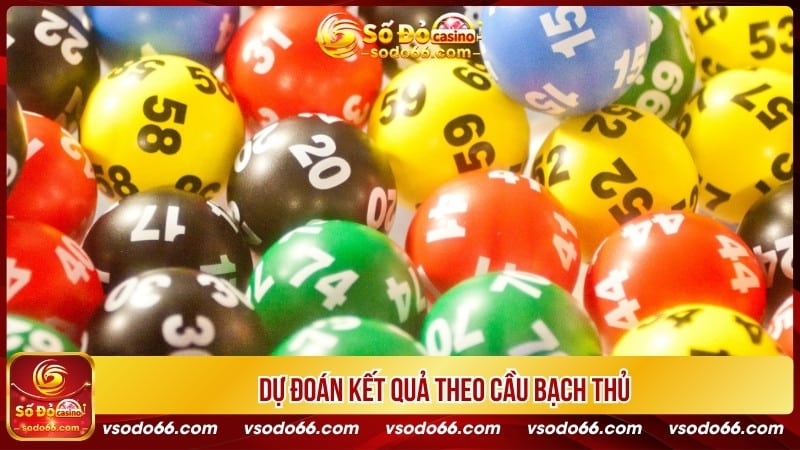 Dự đoán kết quả theo cầu bạch thủ