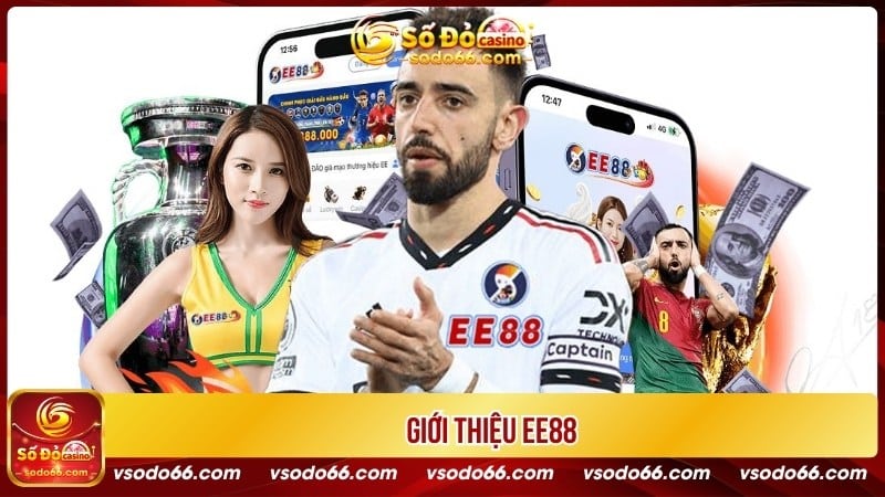 Giới thiệu EE88