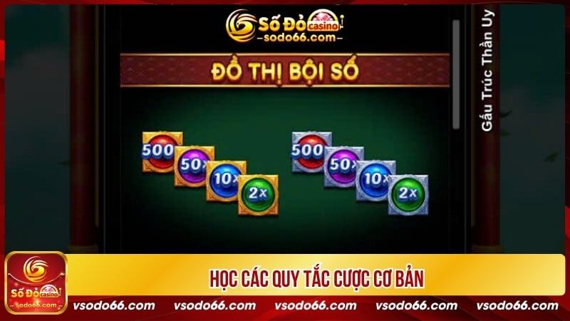 Học các quy tắc cược cơ bản