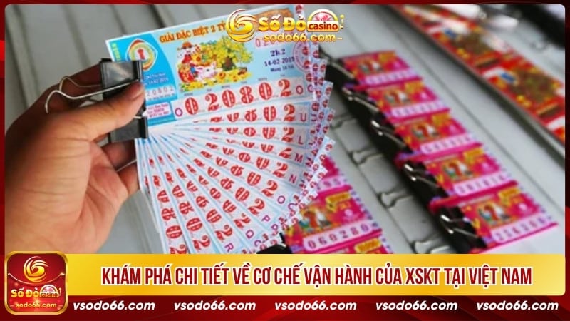 Khám phá chi tiết về cơ chế vận hành của XSKT tại Việt Nam