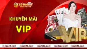 Khuyến Mãi VIP