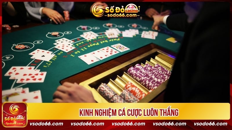 Kinh nghiệm cá cược luôn thắng