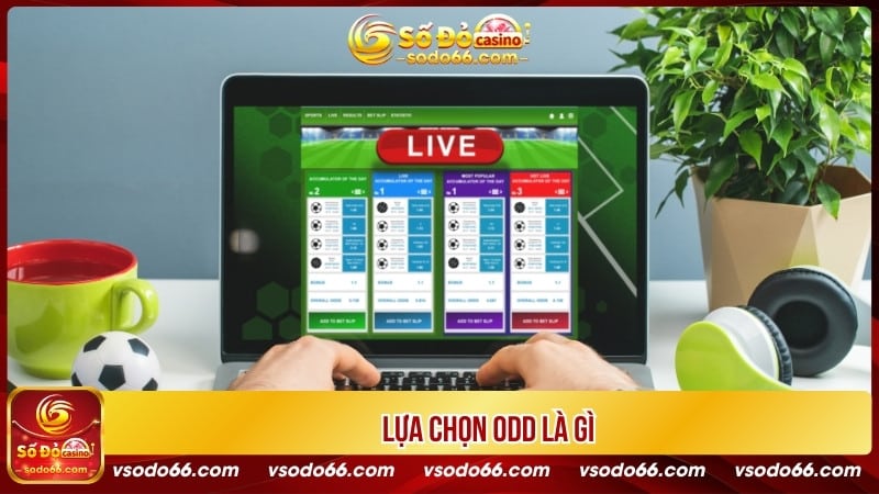 Lựa chọn odd là gì?