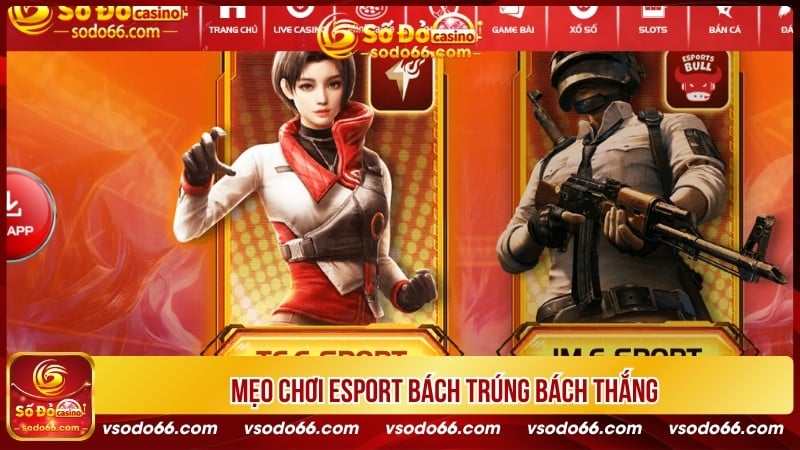 Mẹo chơi Esport bách trúng bách thắng