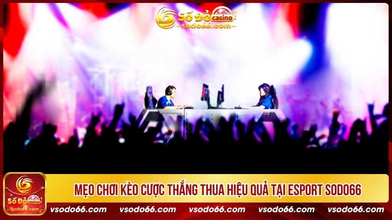 Mẹo chơi kèo cược thắng thua hiệu quả tại Esport SODO66