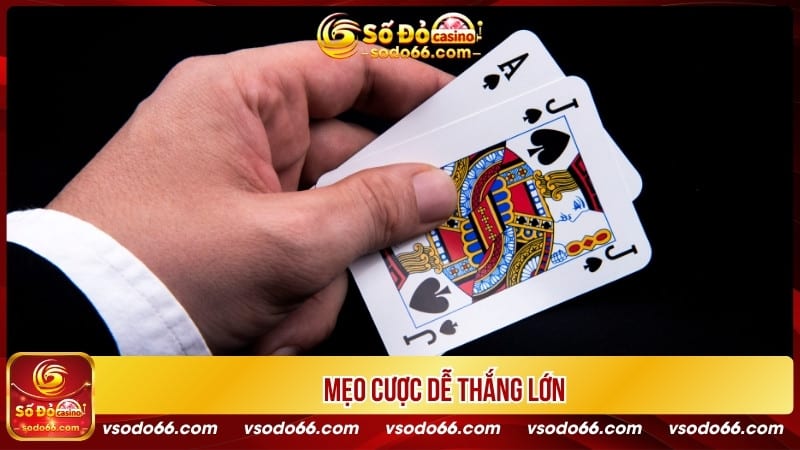 Mẹo cược dễ thắng lớn