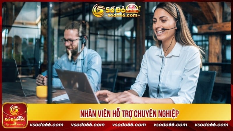 Nhân viên hỗ trợ chuyên nghiệp