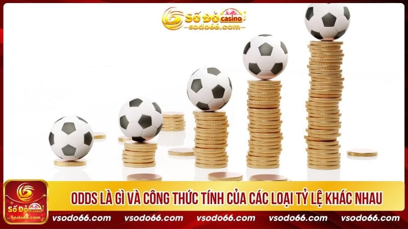 Odds là gì và công thức tính của các loại tỷ lệ khác nhau