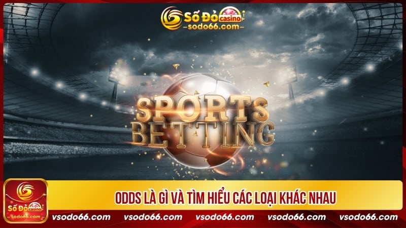 Odds là gì và tìm hiểu các loại khác nhau