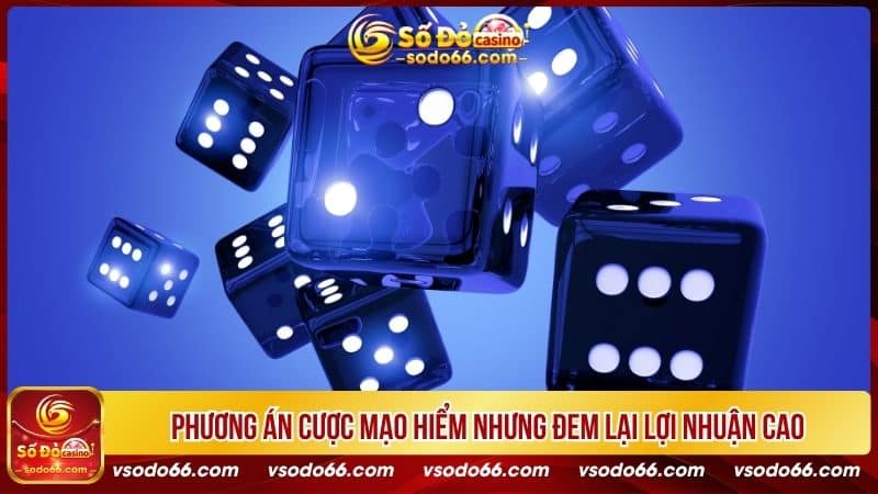 Phương án cược mạo hiểm nhưng đem lại lợi nhuận cao