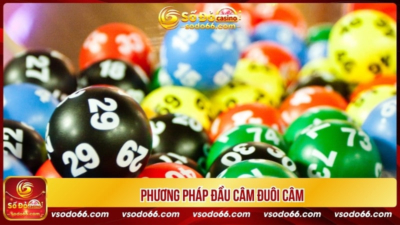 Phương pháp đầu câm đuôi câm