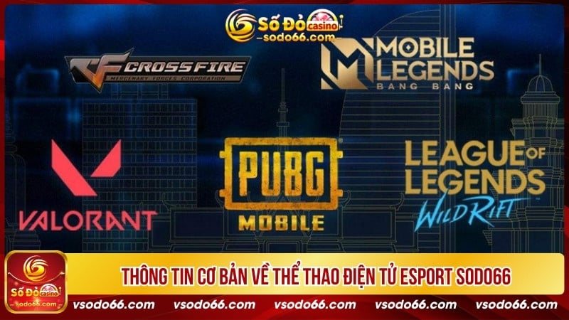 Thông tin cơ bản về thể thao điện tử Esport SODO66