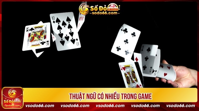 Thuật ngữ có nhiều trong game