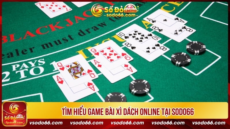 Tìm hiểu game bài Xì Dách online tại SODO66