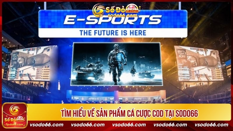 Tìm hiểu về sản phẩm cá cược COD tại SODO66