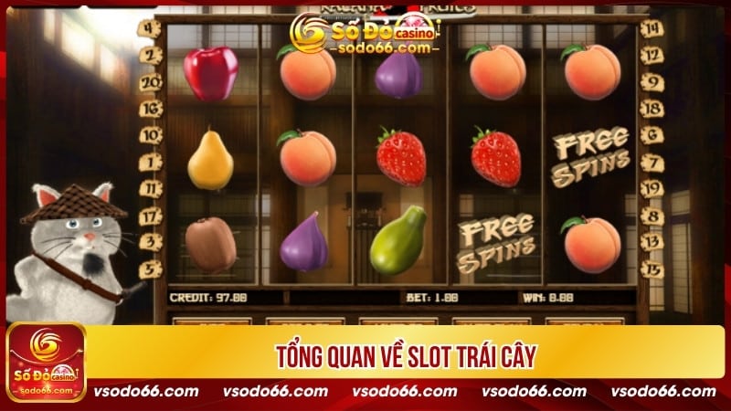 Tổng quan về slot trái cây