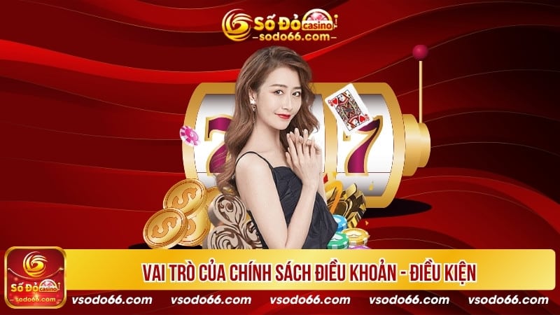 Vai trò của chính sách điều khoản - điều kiện tại SODO66 Casino